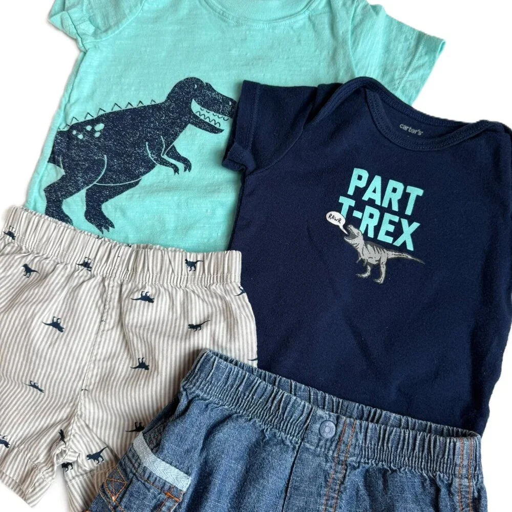 6M Boys 4 Item Spring Bundle Dinosaur